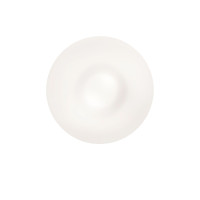 Светильник потолочный IDEAL LUX GLORY PL2 D40