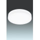 Світильник стельовий EGLO 95493